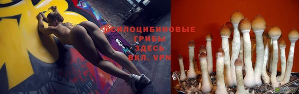 бошки Баксан