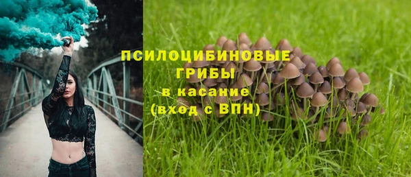 бошки Баксан