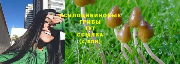 бошки Баксан