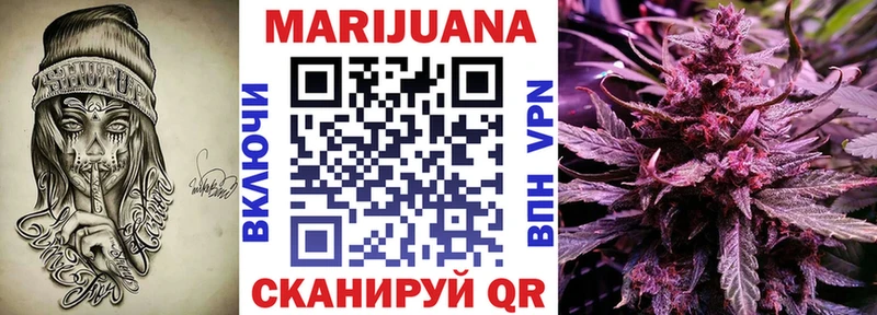 Канабис план Губкинский